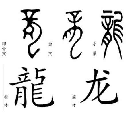 龍是象形字嗎|「龍」的俗体「竜」有何由来？